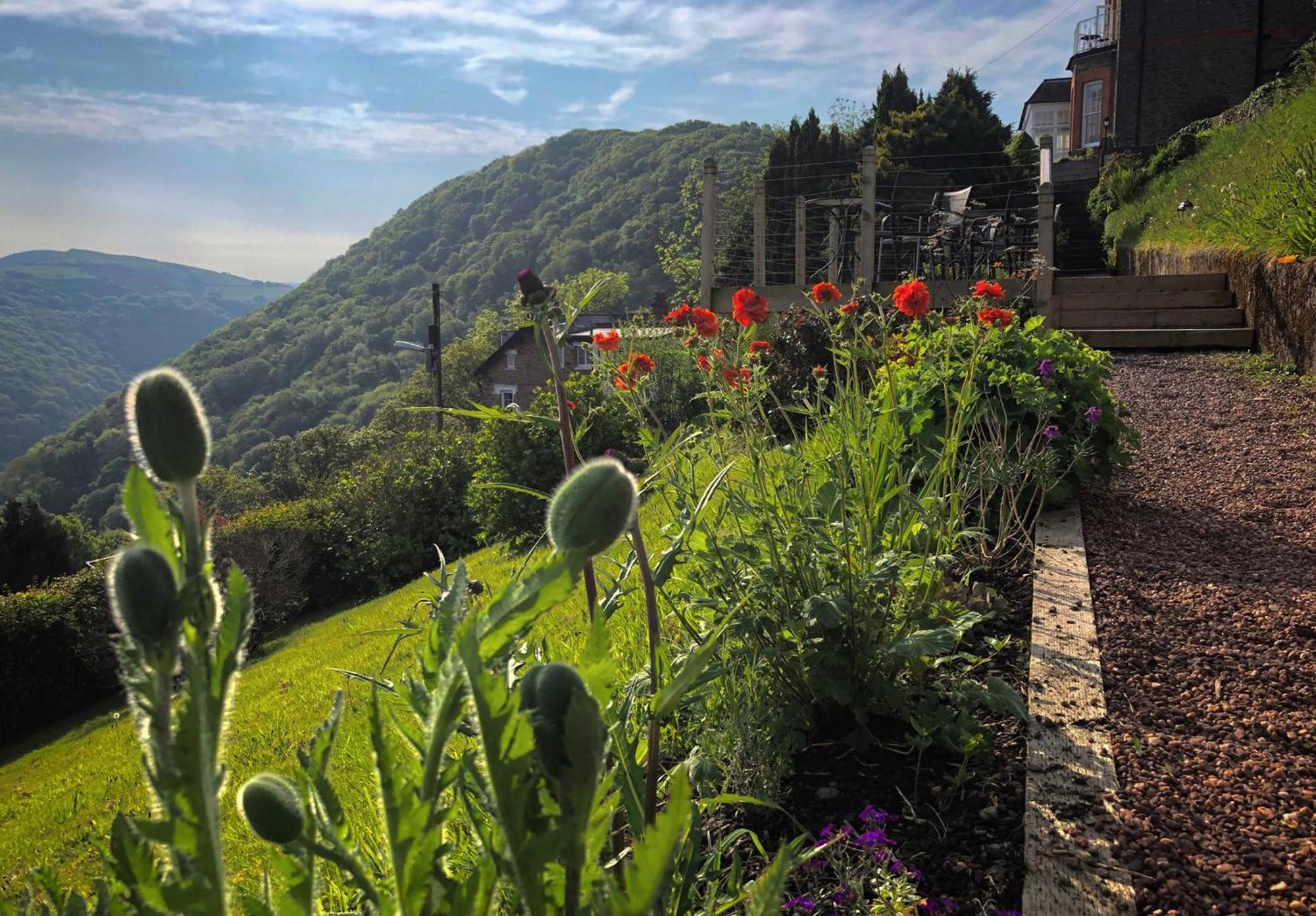 Bed and Breakfast Highcliffe House Линтон Экстерьер фото